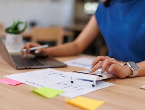 Individual Business Tax Returns incl. back years amendments​